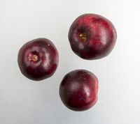 Burgundy Apple